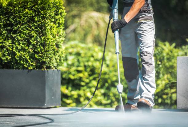 Animal Enclosure Cleaning in Somerville, MA